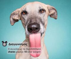 Διαγωνισμός share & feed από την ομάδα του Dogs' Voice!