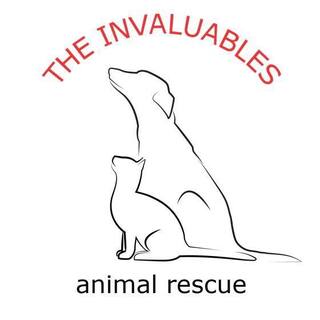 The Invaluables Animal Rescue