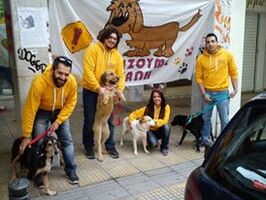 Hμέρα Υιοθεσίας Straycare.gr Αδέσποτη Φροντίδα - 15/02/2015